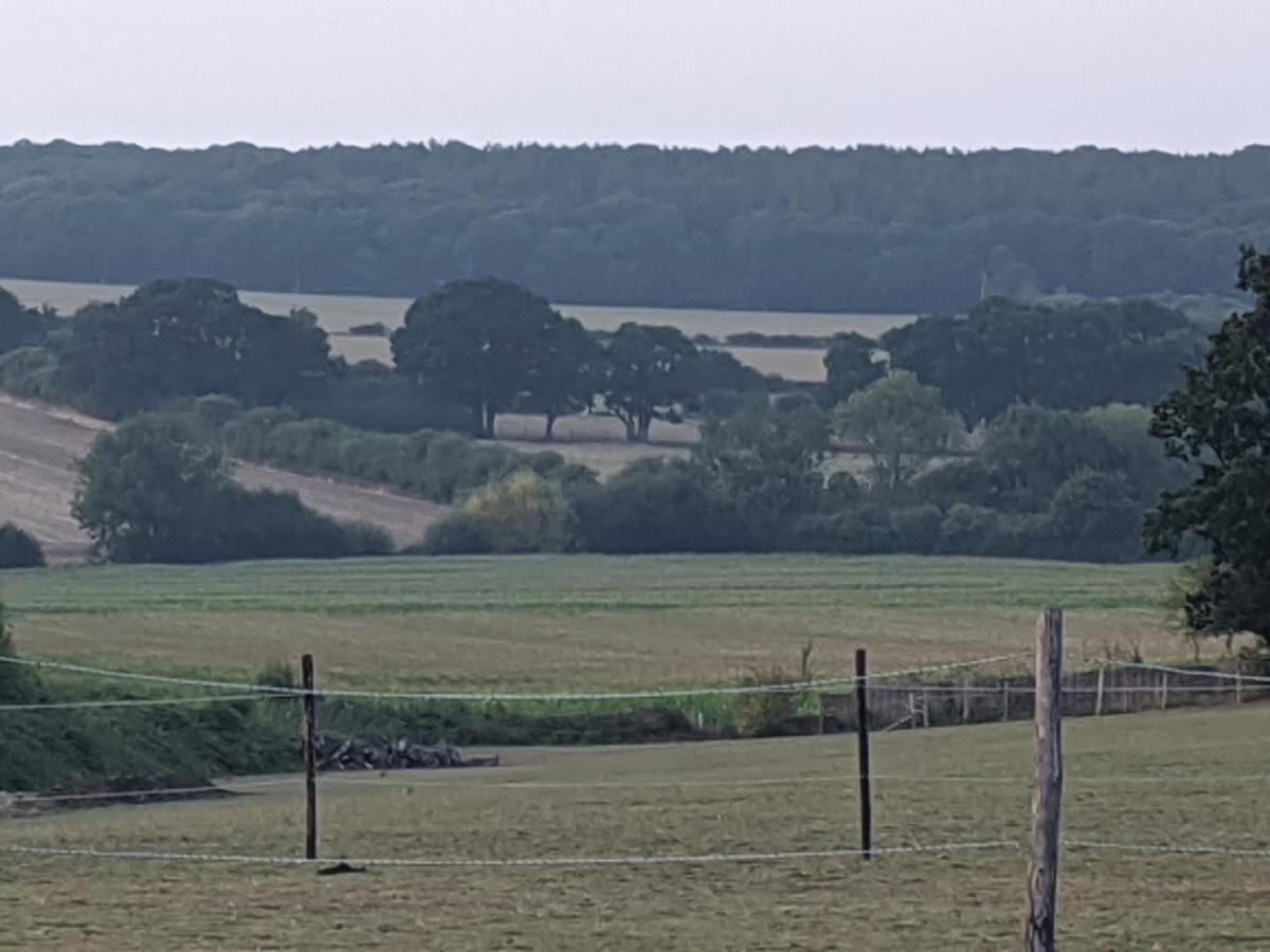 קנטרבורי Foxhill Lodges מראה חיצוני תמונה